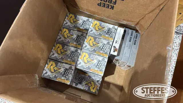 12 Gauge buckshot