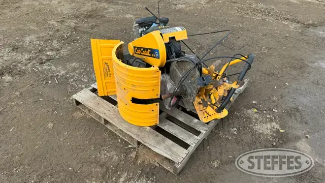 Cub Cadet RT65