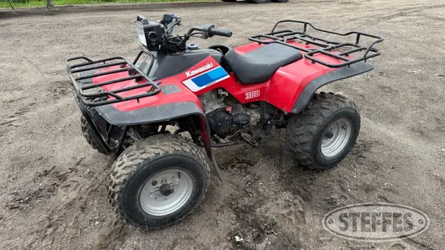 Kawasaki Bayou 300