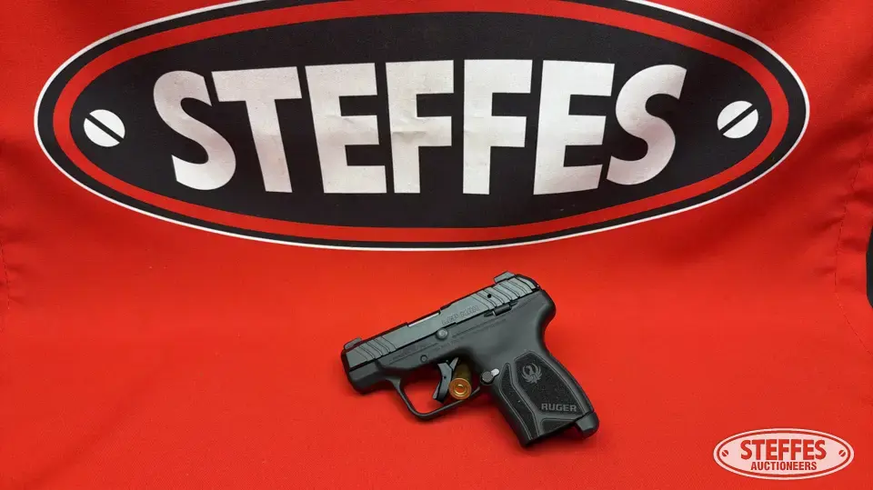 Ruger LCP Max Modern Handgun