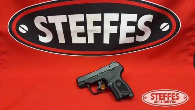 Ruger LCP Max