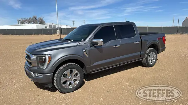 2022 Ford F-150 Platinum