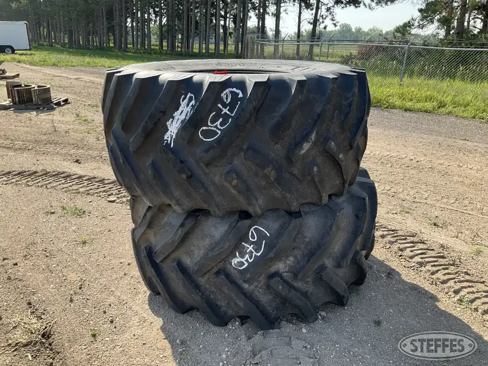 Titan/Goodyear Tractor-Implement Tire