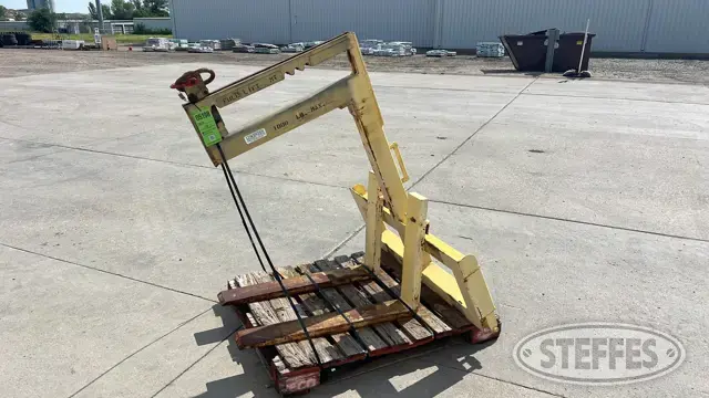 Crane pallet forks