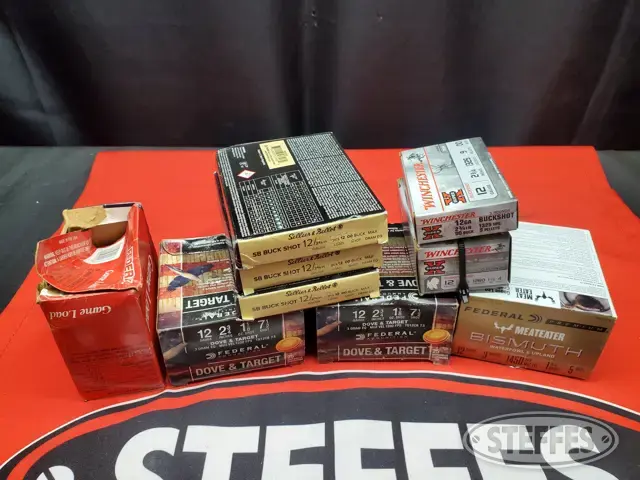 12 Gauge Ammo