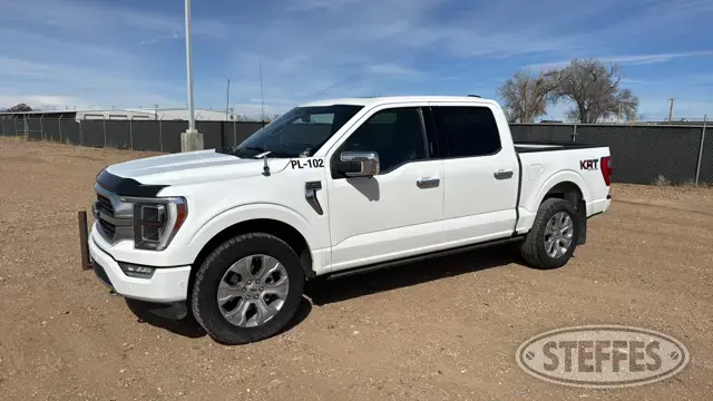 2021 Ford F-150 Platinum