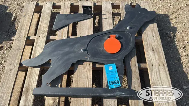 Shooting target