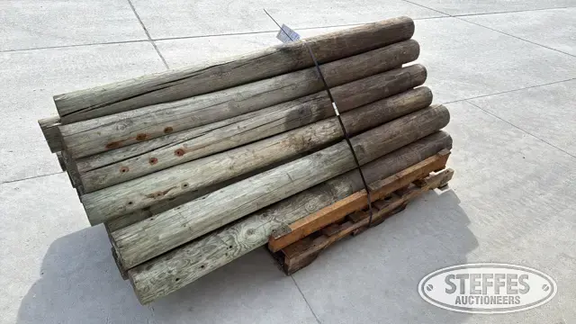 (21) Wood posts