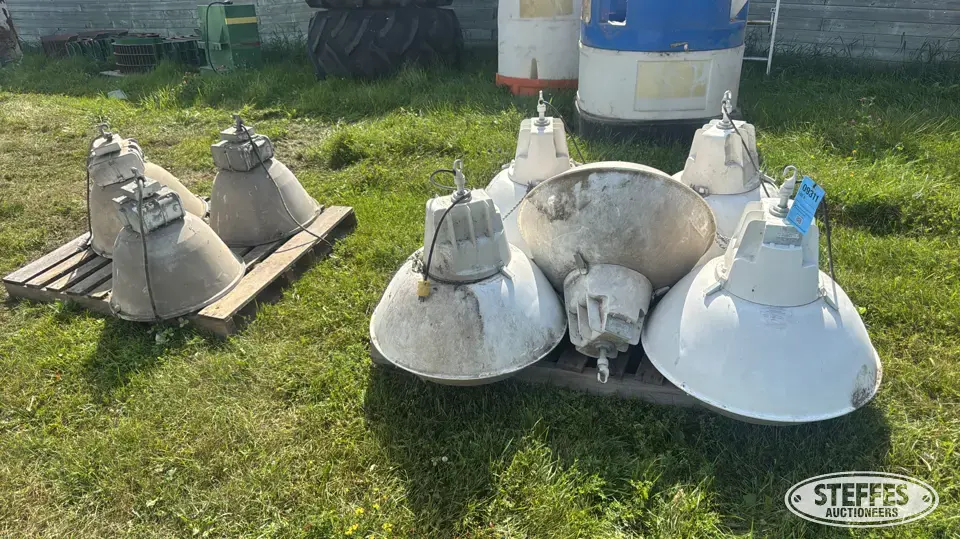 (8) Lights General Business Support Item