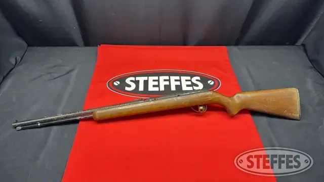 Savage Arms Springfield Model 187R