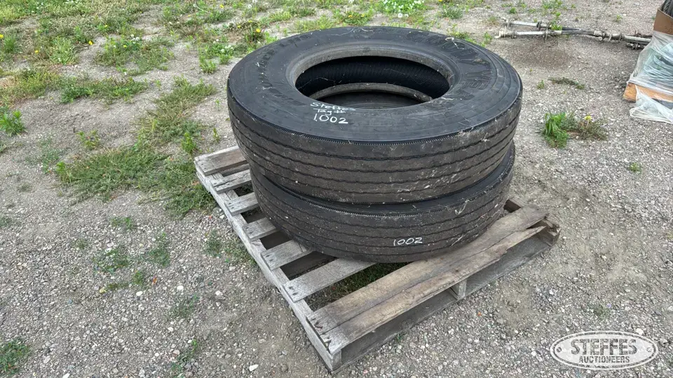 (2) Goodyear Endurance LHS 11R22.5 tires Truck Tire