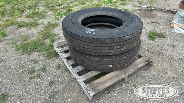 (2) Goodyear Endurance LHS 11R22.5 tires