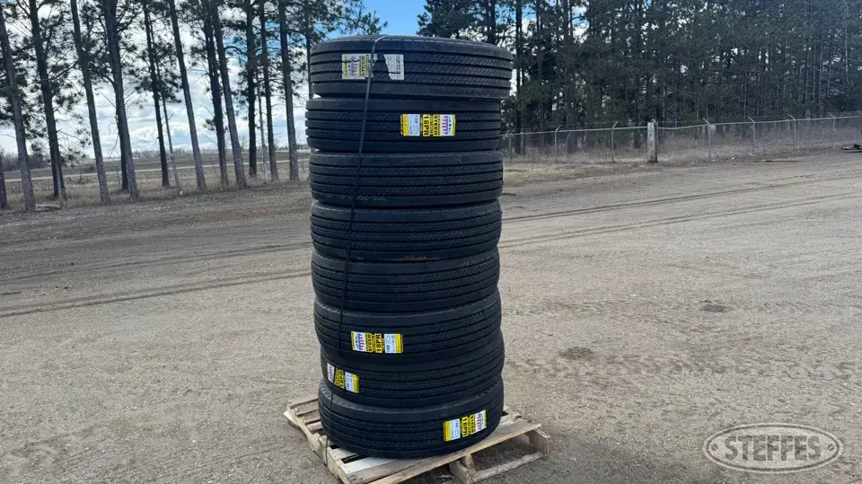 (8) Zwarthz 295/75R22.5 tires Truck Tire