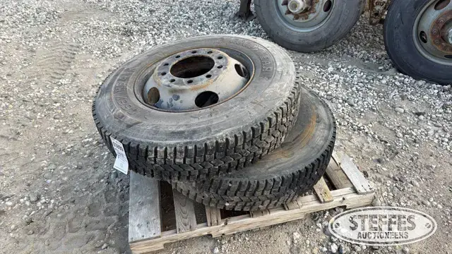 (2) 10R22.5 wheels