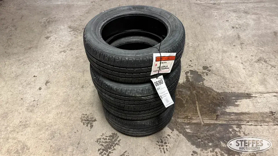 (4) Bridgestone Ecopia 185/55R15 tires Passenger-Light Truck Tire