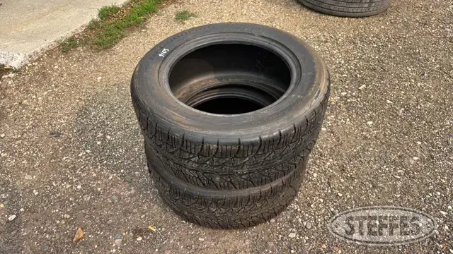 (2) BFGoodrich 245/50ZR16 tires