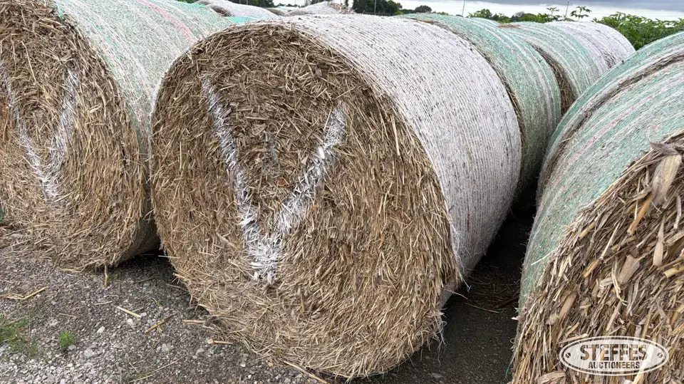 (20) Round cornstalk bales Forage