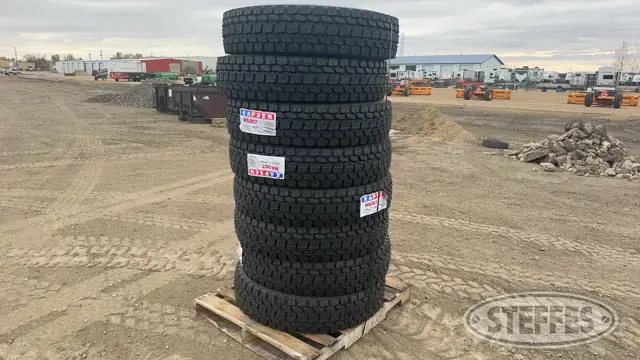 (8) Kapsen HS207 11R22.5 Tires