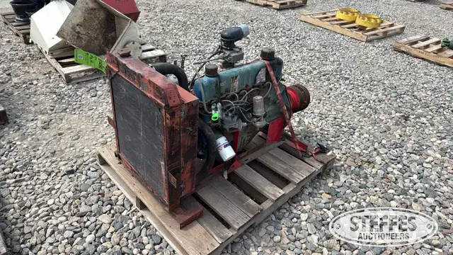 Ford industrial motor