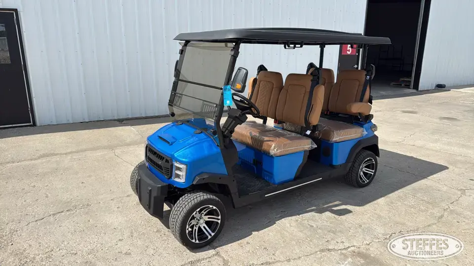 2025 Custom Drive GT290-480 Golf Cart