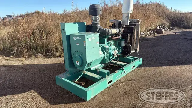 2013 Cummins Power Generation DSGAC-A045B654