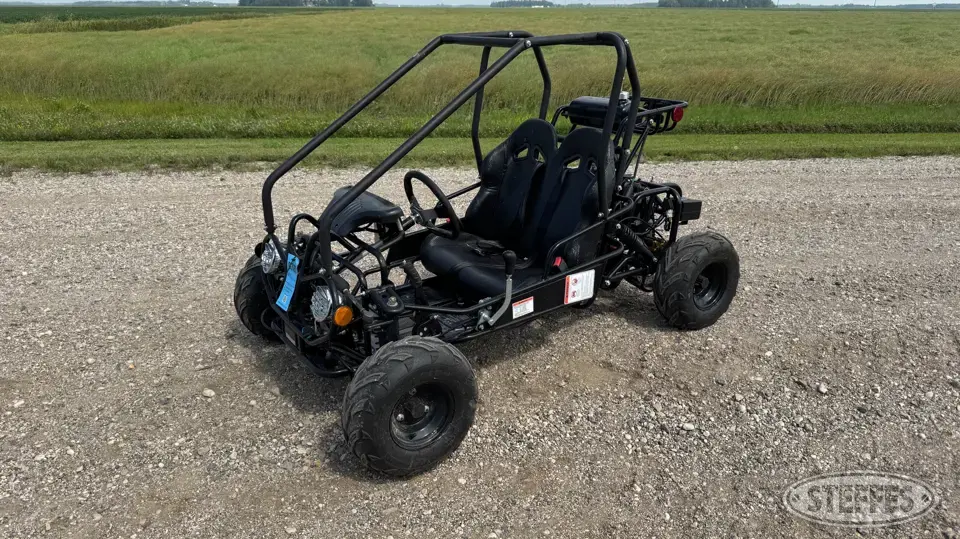 2021 Tao Motor GK110 Go Cart