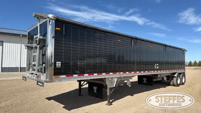 2013 Wilson Pacesetter DWH-551B