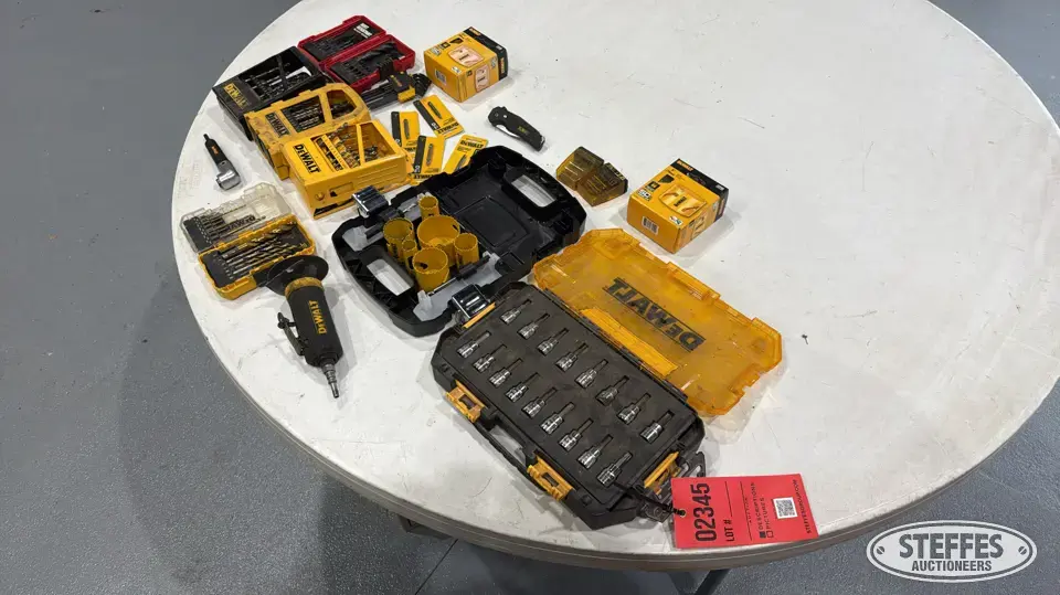 Dewalt drill bits & sockets General Tools and Shop Supply