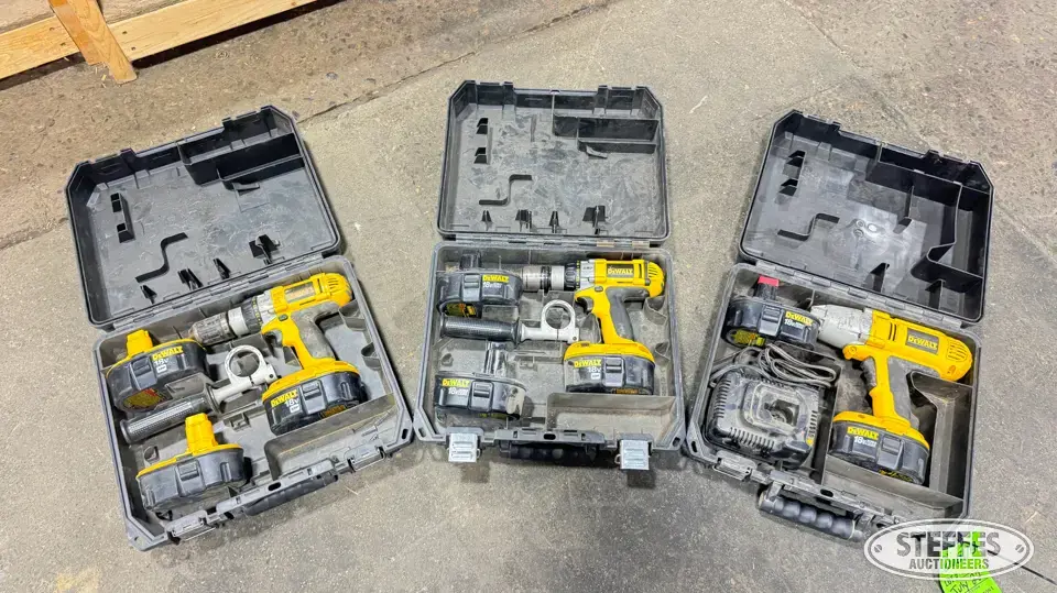 Various DeWalt cordless tools Power Tool