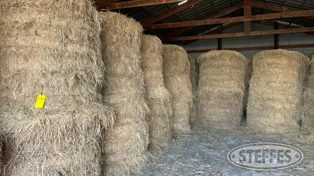 (32 Bales) 5x5 round, Grass hay