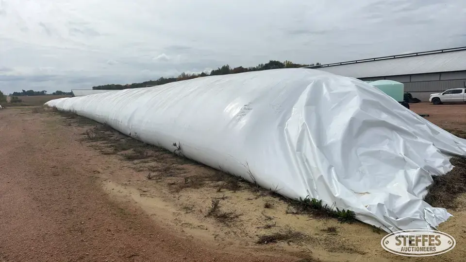 2025 High Moisture Shelled Corn Forage
