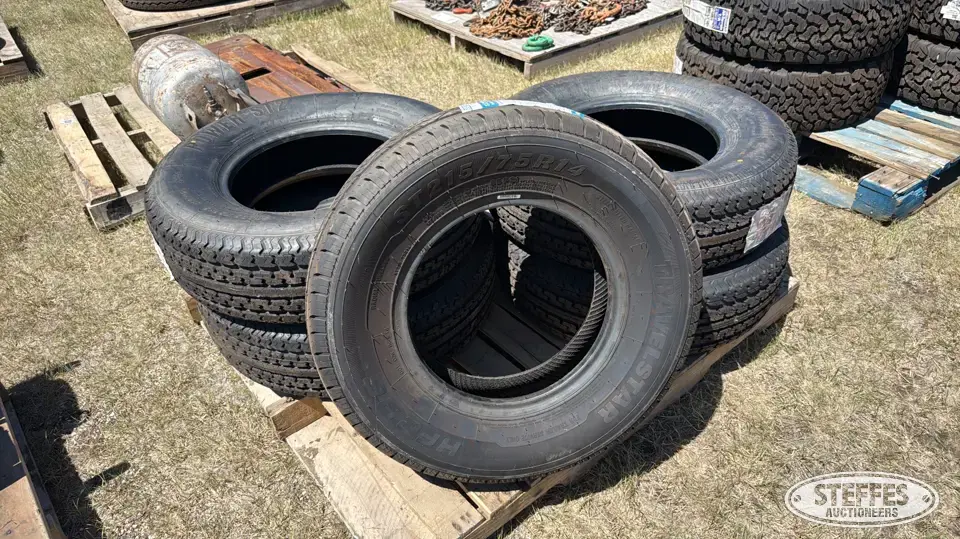 (5) Tires Passenger-Light Truck Tire