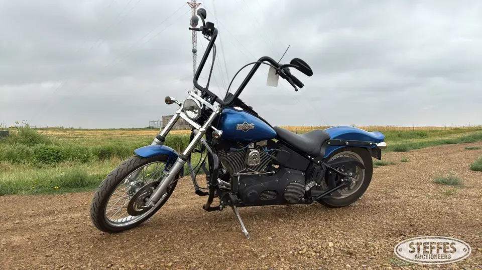 2004 Harley Davidson Softail Night Train Motorcycles and Scooter