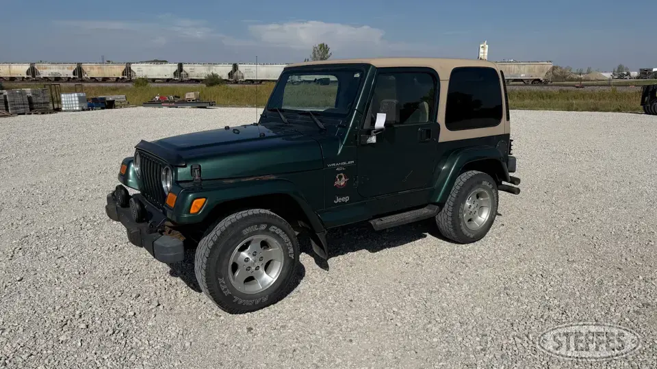 2000 Jeep Wrangler Sahara SUV