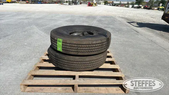 (2) Double Coin RT500 10.00R15TR tires