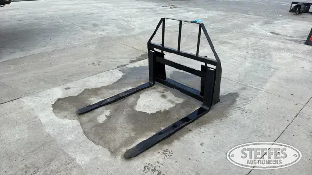 Pallet forks