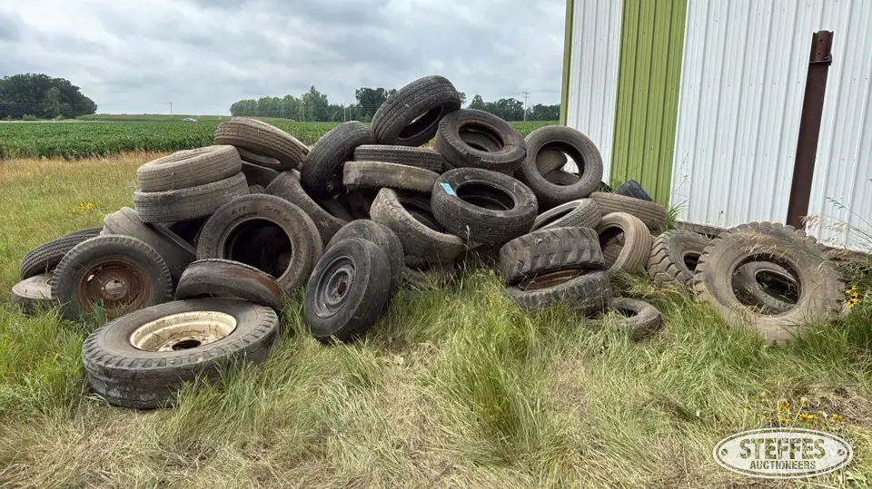 Tires Passenger-Light Truck Tire