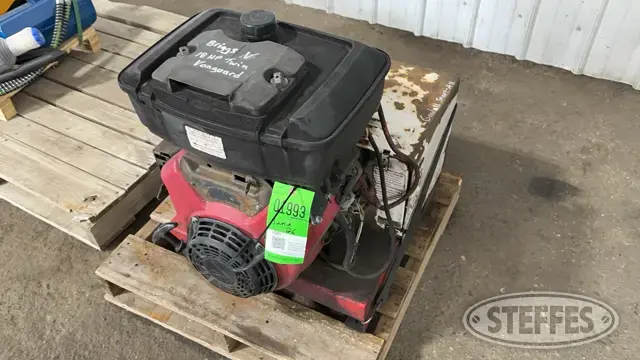 Briggs & Stratton