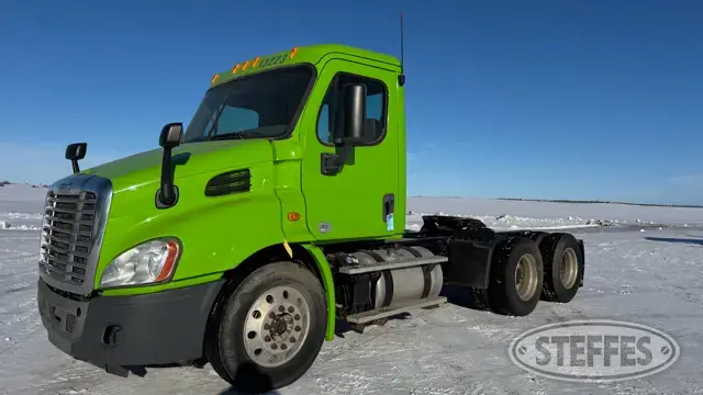 2013 Freightliner Cascadia 113