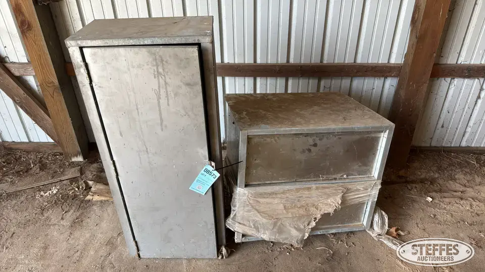 (2) Cabinets General Business Support Item