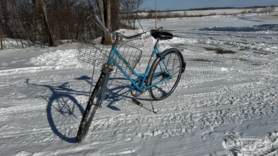 1970 Schwinn Recreational-Other