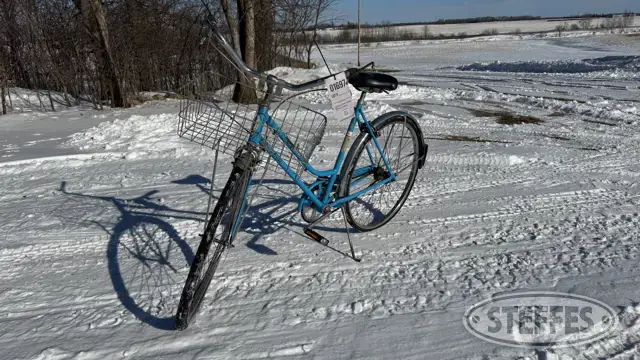 1970 Schwinn
