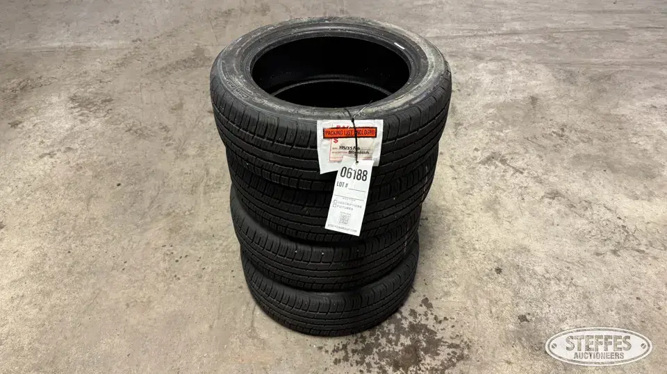(4) BF Goodrich Advantage 195/55R16 tires Passenger-Light Truck Tire