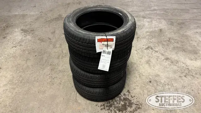(4) BF Goodrich Advantage 195/55R16 tires