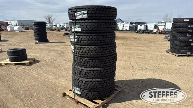 (8) Headway HLD811 11R22.5 tires