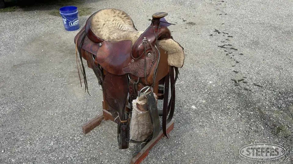 Hereford saddle Horse Drawn