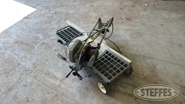 Delta SawBuck