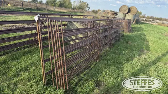 (10) Cattle panels