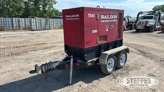 Baldor TS45T
