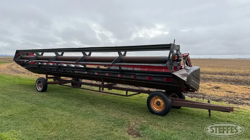 1990 Case IH 1010 Rigid Head